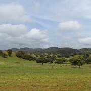 DSC01109
