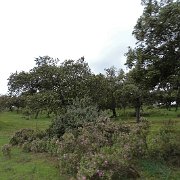 DSC01111