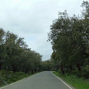 DSC01115
