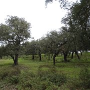 DSC01116