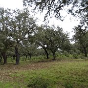 DSC01117