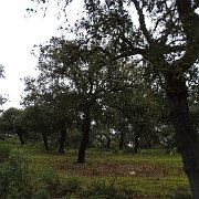 DSC01118