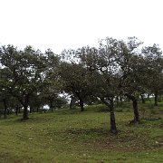 DSC01119
