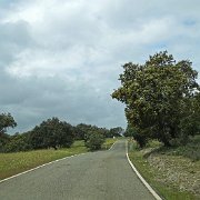 DSC01122