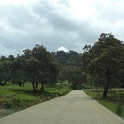 DSC01123