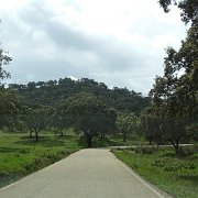 DSC01124