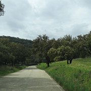 DSC01125