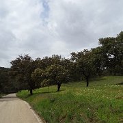 DSC01126