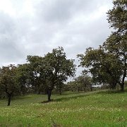 DSC01127