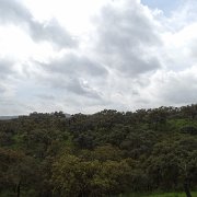 DSC01133