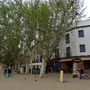 DSC01143
