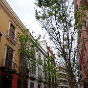 DSC01152