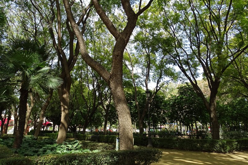 DSC01285