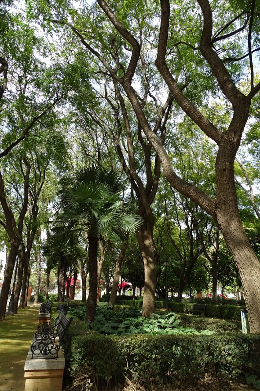 DSC01286