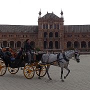 DSC01203
