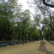 DSC01278