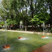 DSC01281