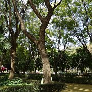 DSC01285
