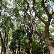DSC01286