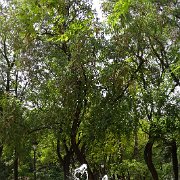 DSC01287