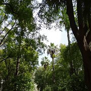 DSC01288