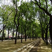 DSC01289