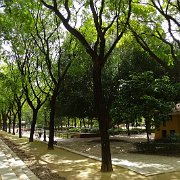 DSC01290
