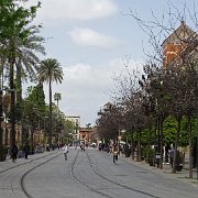 DSC01294