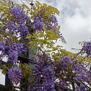 DSC01295