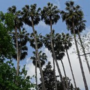 DSC01297