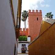 DSC01303