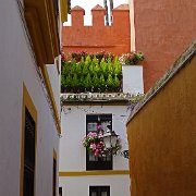 DSC01304