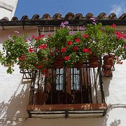 DSC01306