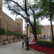 DSC01318