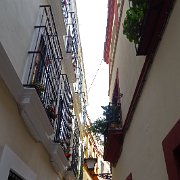 DSC01446