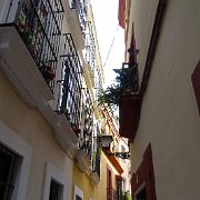 DSC01447