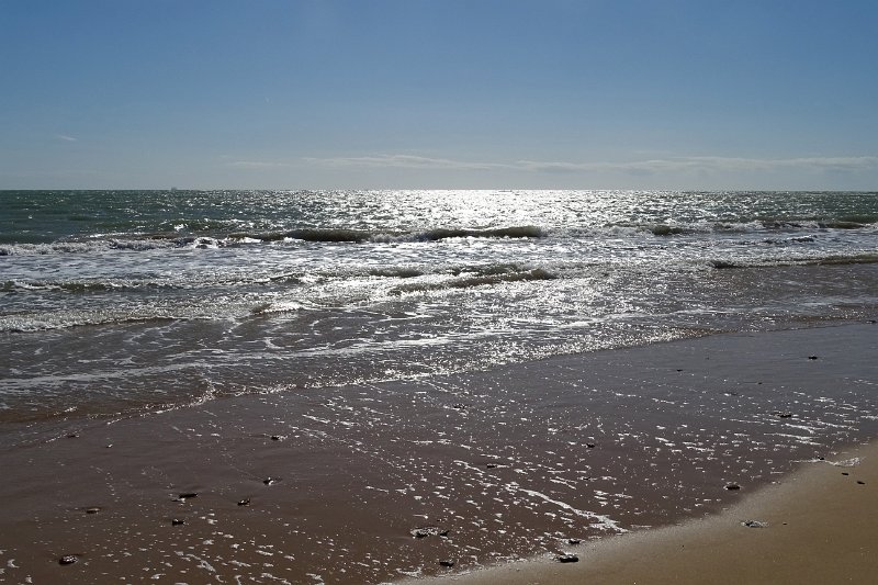 DSC01631