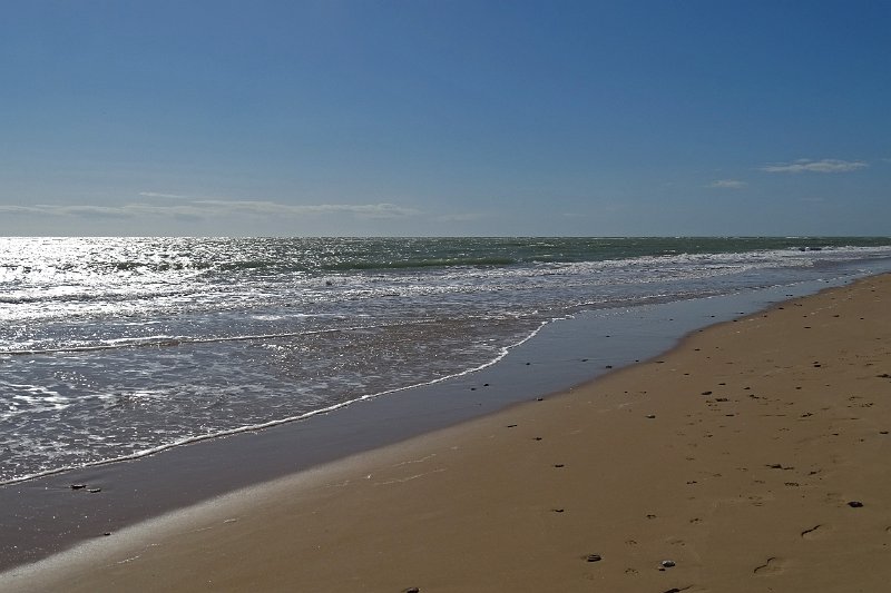 DSC01633