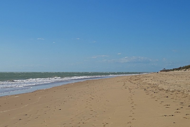 DSC01647