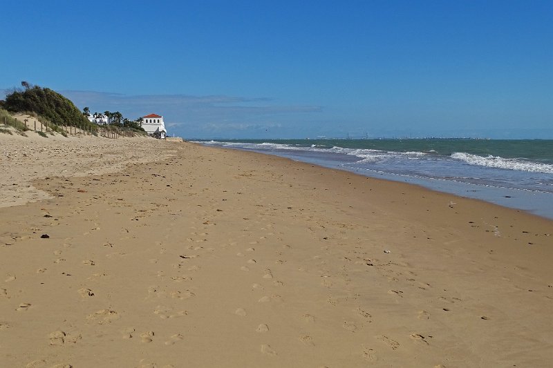 DSC01648