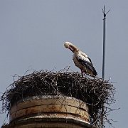 DSC01534