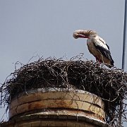 DSC01535