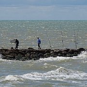 DSC01545