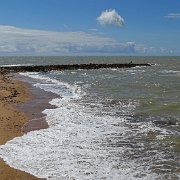 DSC01550