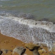 DSC01556