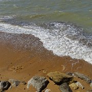 DSC01558