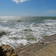 DSC01579