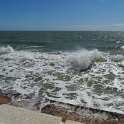 DSC01590