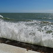 DSC01591