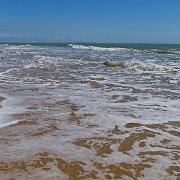 DSC01602